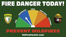 Graphic displaying moderate fire danger