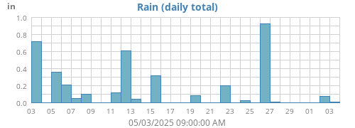 Rain