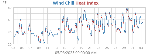 Wind Chill
