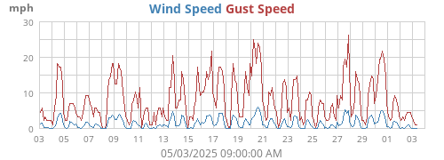 Wind Speed