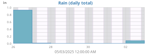 Rain
